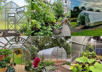10 Best Greenhouses for Sale in Canada and the USA [2025 Edition]