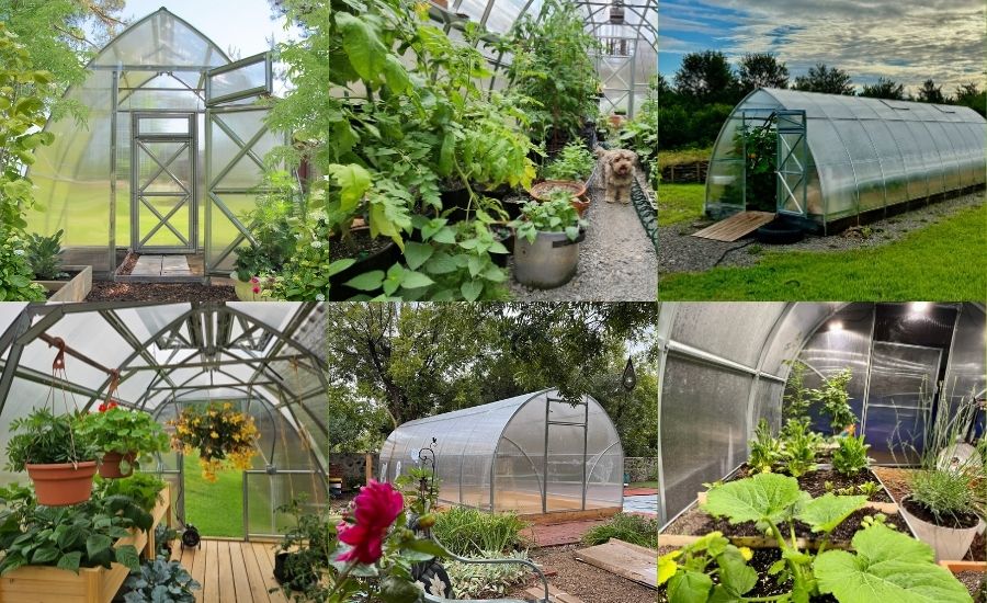 10 Best Greenhouses for Sale in Canada and the USA [2025 Edition]