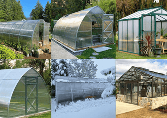 Planta Greenhouses vs BC Greenhouses: Which Greenhouse Is Better for Your Climate & Garden Goals?