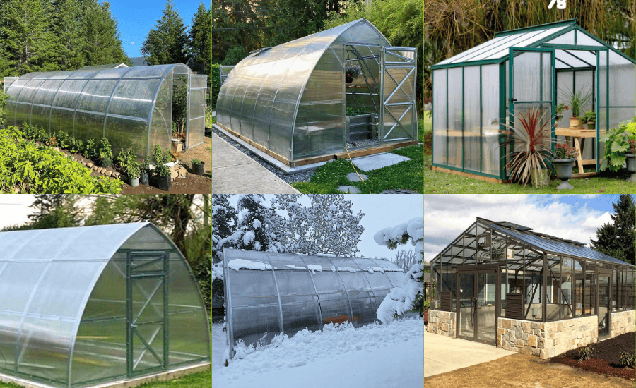 Planta Greenhouses vs BC Greenhouses: Which Greenhouse Is Better for Your Climate & Garden Goals?