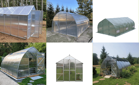 Planta Greenhouses vs TMG Industrial Greenhouses: Which Greenhouse Is Better for Your Climate & Garden Goals?