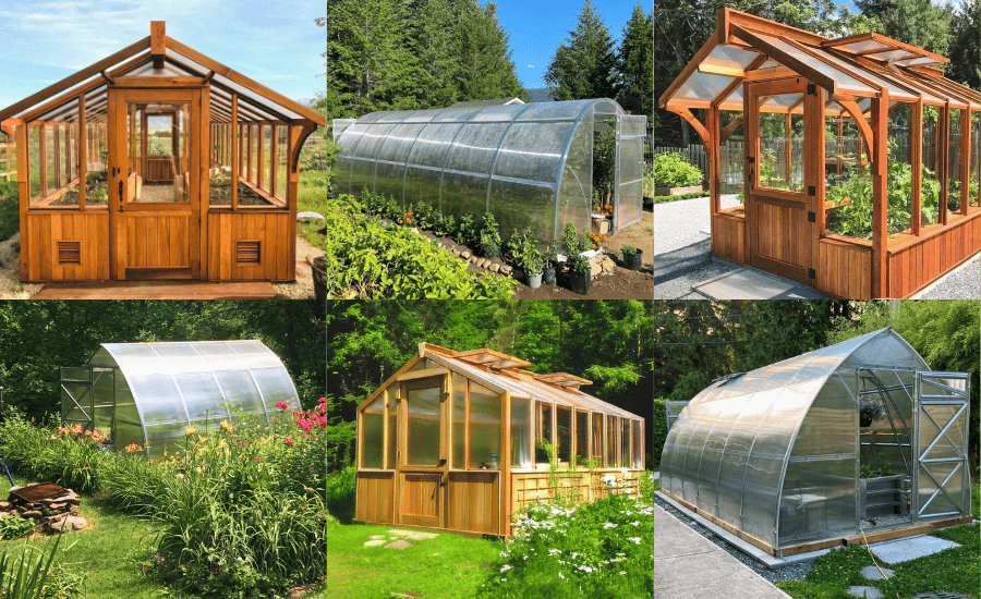 Planta Greenhouses vs Cedar-Built Greenhouses: Which Greenhouse Is Better for Your Climate & Garden Goals?
