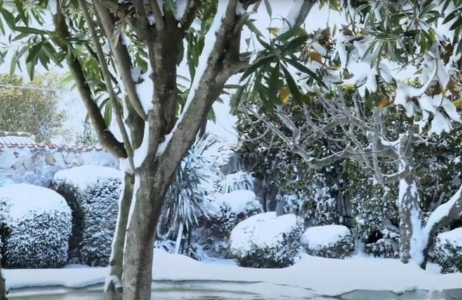 Top 10 Gardening Tips for January: Greenhouse, Hydroponics, and Winter Gardening Ideas