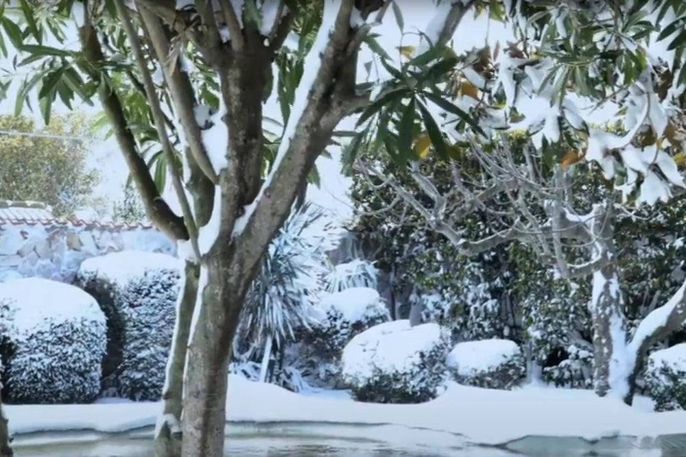 Top 10 Gardening Tips for January: Greenhouse, Hydroponics, and Winter Gardening Ideas