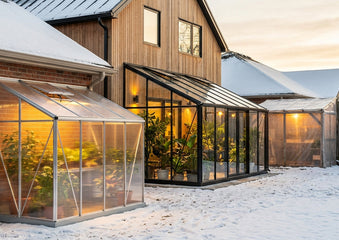 Best Lean-To Greenhouses 2026: Top 10 Picks for Small Yards and Cold Climates