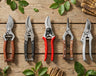 Best Pruning Shears 2026: Top 10 Garden Pruners Reviewed and Compared